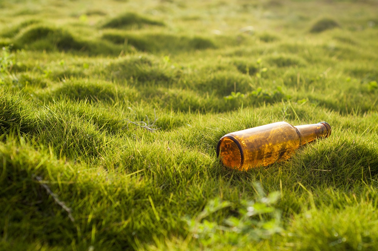 Éducation à l’environnement : un levier pour le changement