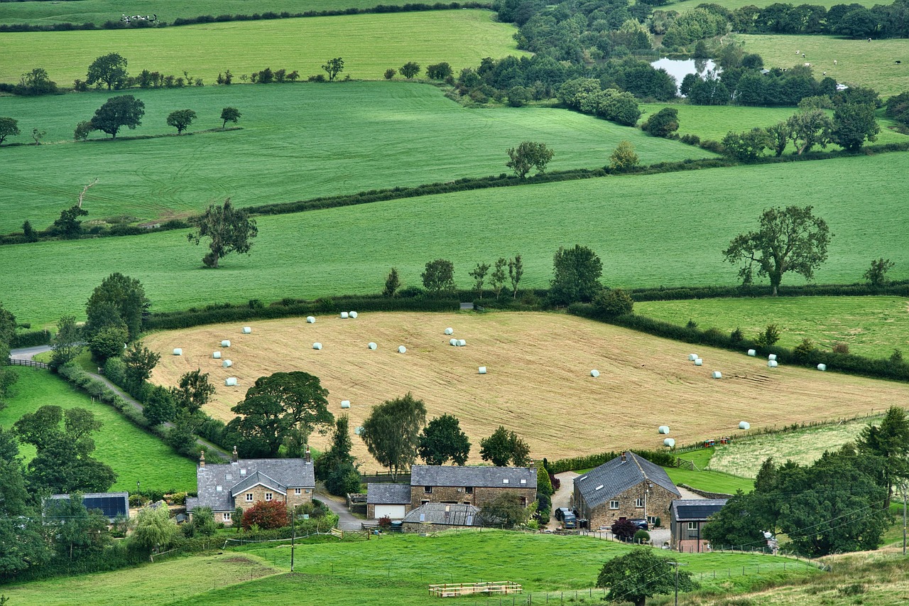 découvrez l'univers des fermes urbaines, où l'agriculture rencontre la vie citadine. explorez des méthodes innovantes de culture en milieu urbain, soutenez la durabilité et bénéficiez de produits frais et locaux tout en redéfinissant nos espaces verts.