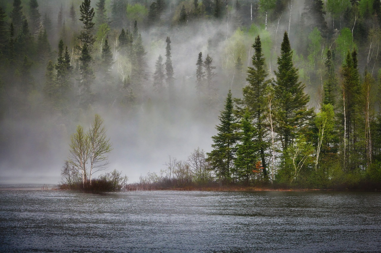 découvrez l'importance de la conservation de la biodiversité pour préserver notre planète. apprenez comment protéger les écosystèmes, soutenir la faune et la flore, et promouvoir des pratiques durables qui garantissent un avenir harmonieux pour les générations futures.