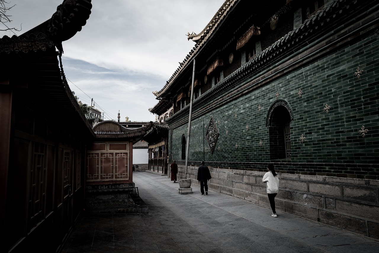 découvrez la richesse de la culture chinoise, son histoire millénaire, ses paysages époustouflants et sa cuisine savoureuse. explorez la chine, un pays fascinant où tradition et modernité coexistent.