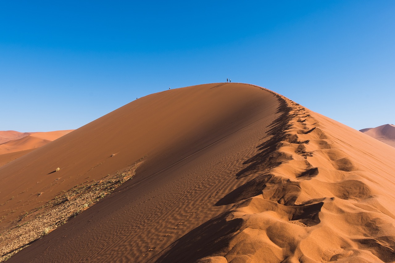 découvrez comment relever les défis climatiques d'aujourd'hui. cet article explore les impacts du changement climatique et propose des solutions innovantes pour un avenir durable.