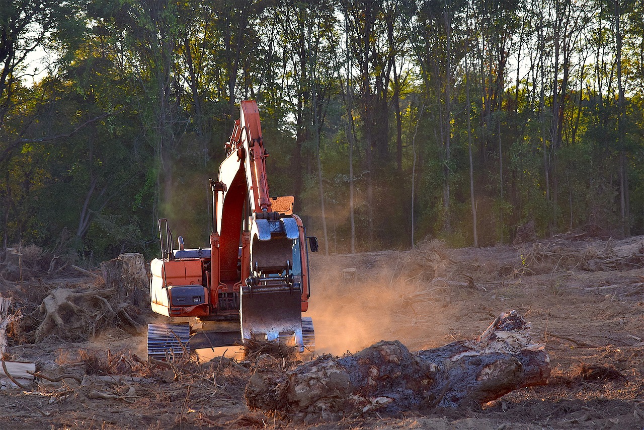 découvrez les enjeux de la déforestation : ses causes, ses conséquences sur l'environnement et la biodiversité, ainsi que les solutions pour préserver nos forêts et lutter contre ce fléau.