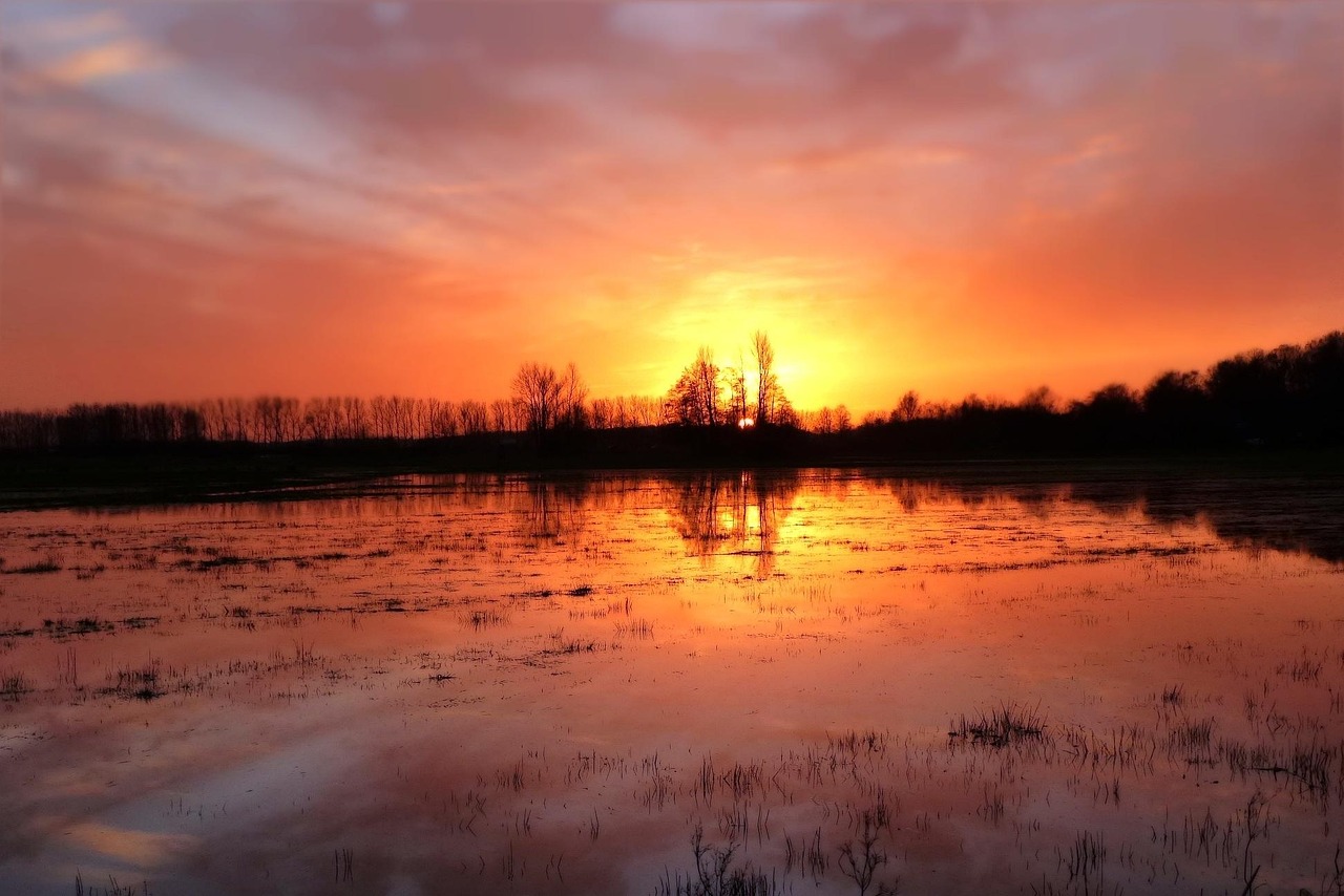 découvrez les causes et les conséquences des inondations, ainsi que les mesures de prévention et de gestion des risques. informez-vous sur les événements récents et leurs impacts sur l'environnement et les communautés.