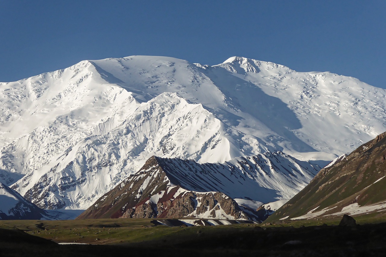 découvrez le monde fascinant des glaciers, ces immenses formations de glace qui façonnent nos paysages, régulent notre climat et abritent une biodiversité unique. plongez dans l'étude de leur formation, leur évolution et les défis auxquels ils font face à l'ère du changement climatique.