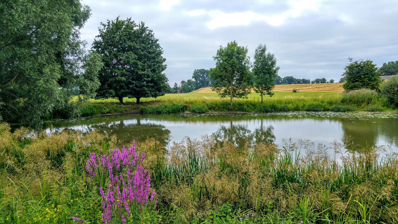 découvrez les réserves naturelles, ces sanctuaires de biodiversité préservés, qui protègent les écosystèmes uniques et offrent une expérience immersive en pleine nature. explorez leur beauté, leur importance pour la conservation et les activités écologiques qui y sont proposées.