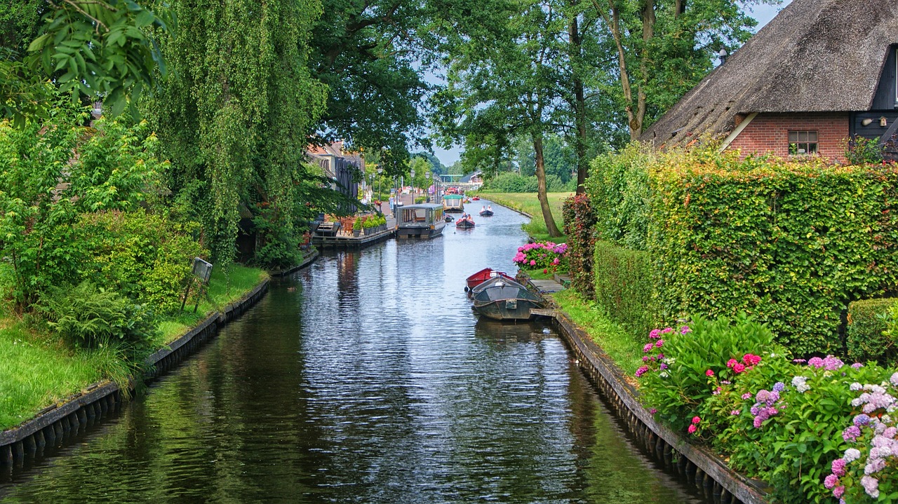 découvrez les réserves naturelles, des sanctuaires de biodiversité où la faune et la flore s'épanouissent dans leur habitat naturel. explorez des paysages préservés, participez à des activités en plein air et contribuez à la protection de notre planète tout en profitant de moments inoubliables en harmonie avec la nature.