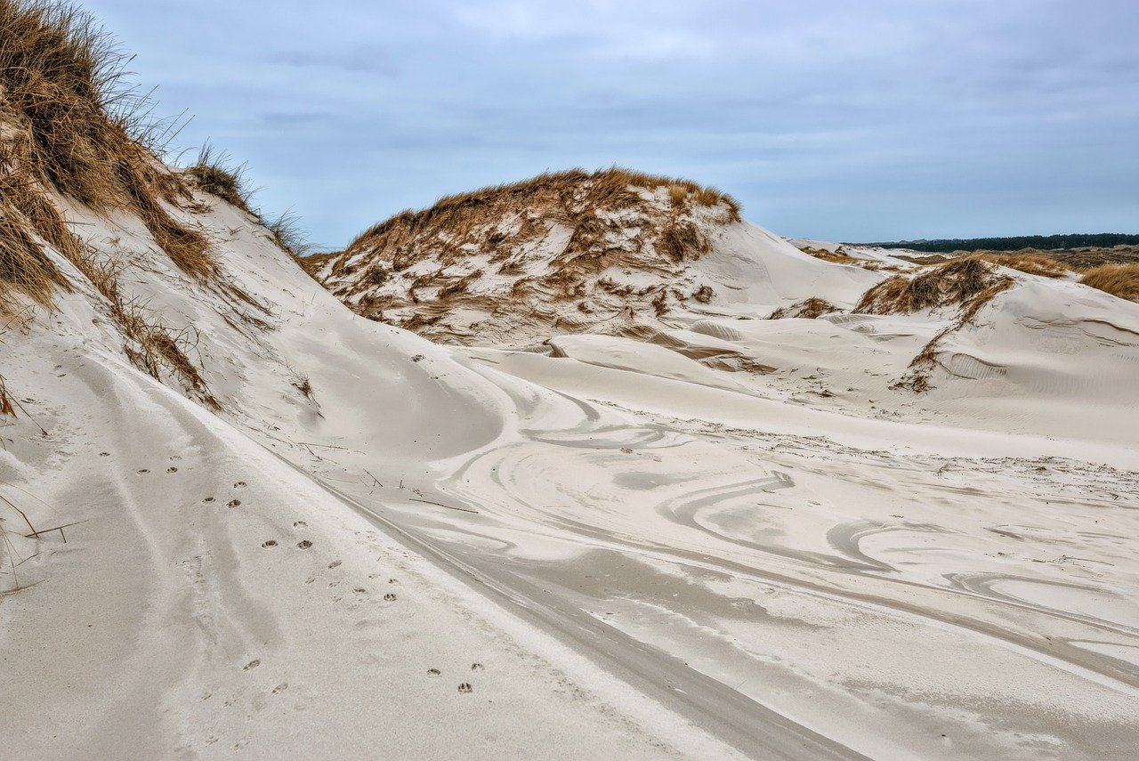 découvrez la beauté des réserves naturelles, des sanctuaires de biodiversité où faune et flore s'épanouissent. explorez des écosystèmes préservés et engagez-vous pour la protection de la nature tout en profitant d'activités en plein air.