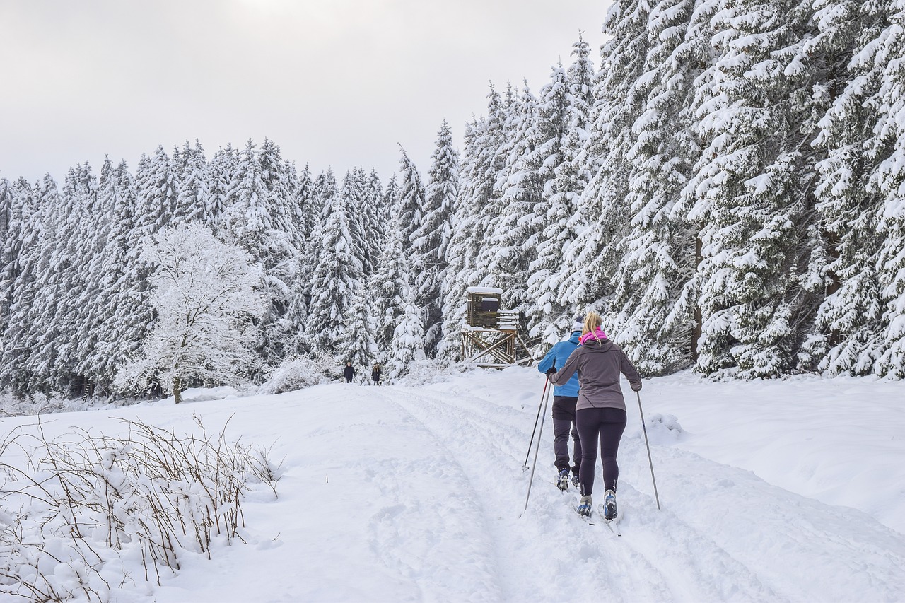 découvrez le ski durable : alliez passion pour la glisse et respect de l'environnement. apprenez comment pratiquer le ski tout en préservant nos montagnes et en réduisant votre empreinte carbone.