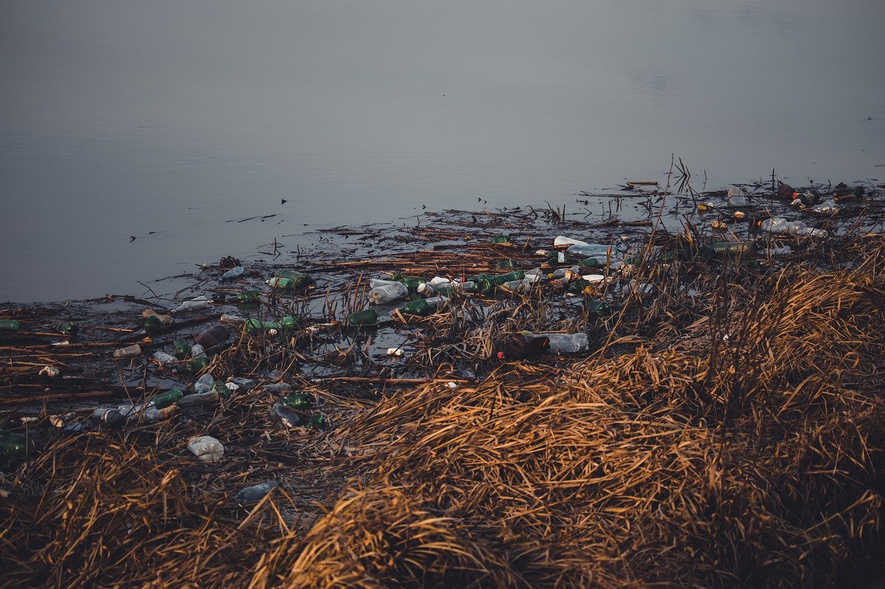 découvrez les enjeux de la pollution de l'eau, ses causes, ses conséquences sur l'environnement et la santé, ainsi que les solutions pour préserver nos ressources aquatiques.