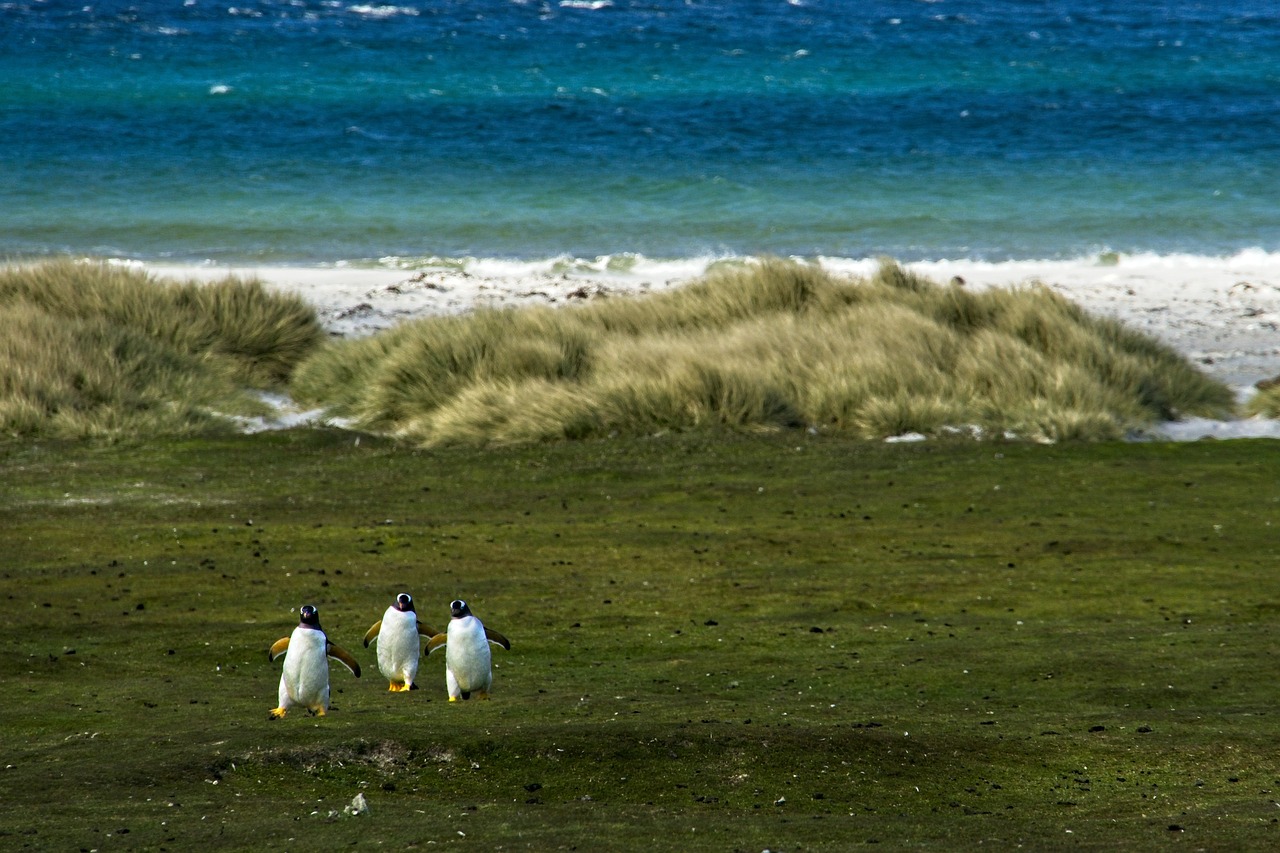 La conservation des habitats naturels est essentielle