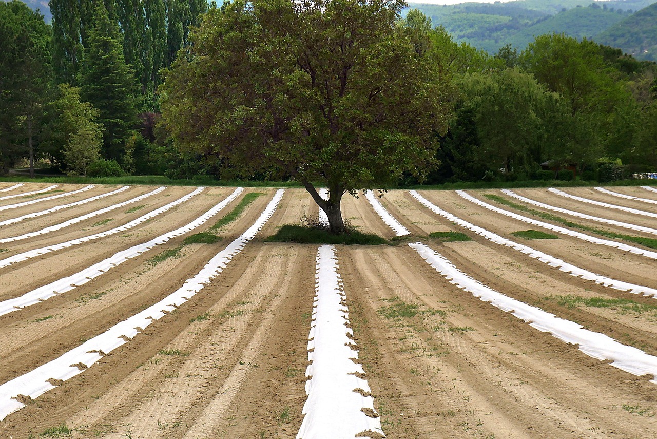 L’agroécologie : un vecteur de changement