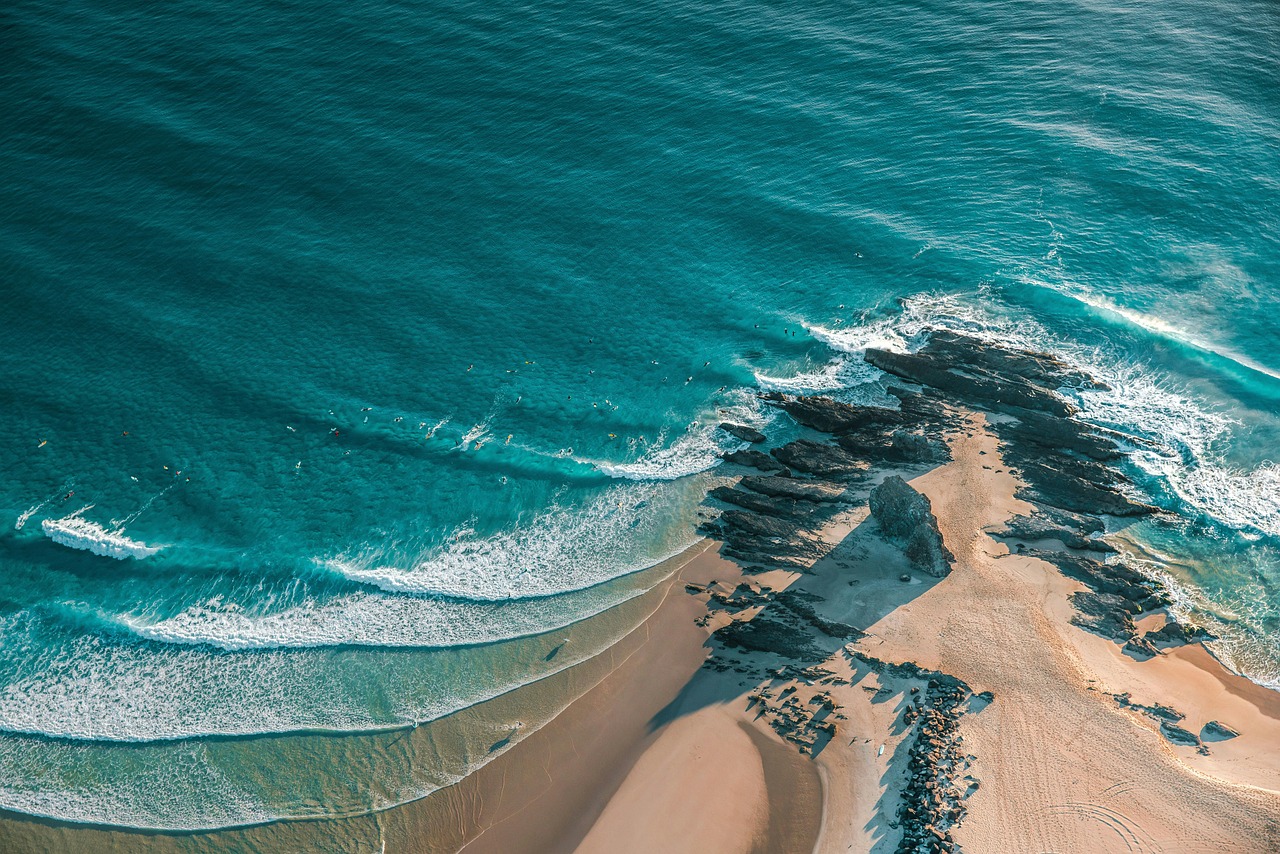 découvrez les merveilles des océans : un monde fascinant rempli de biodiversité, de paysages sous-marins époustouflants et de secrets inexplorés. plongez dans l'univers des profondeurs marines et apprenez-en davantage sur la conservation de ces écosystèmes essentiels.