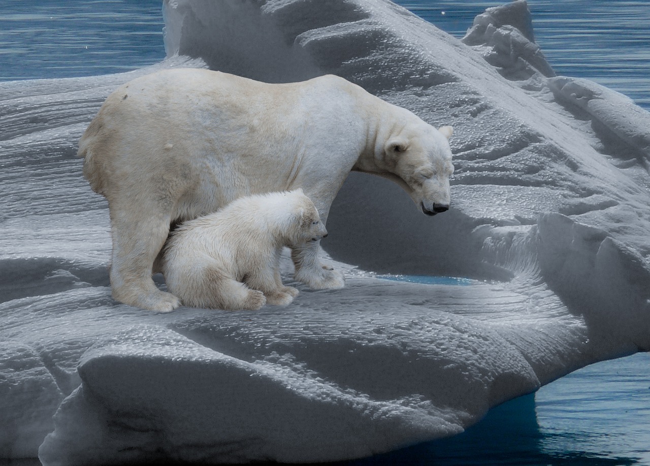 découvrez l'impact du changement climatique sur notre planète, les causes de cette crise environnementale et les solutions pour un avenir durable. engagez-vous pour la protection de notre environnement!