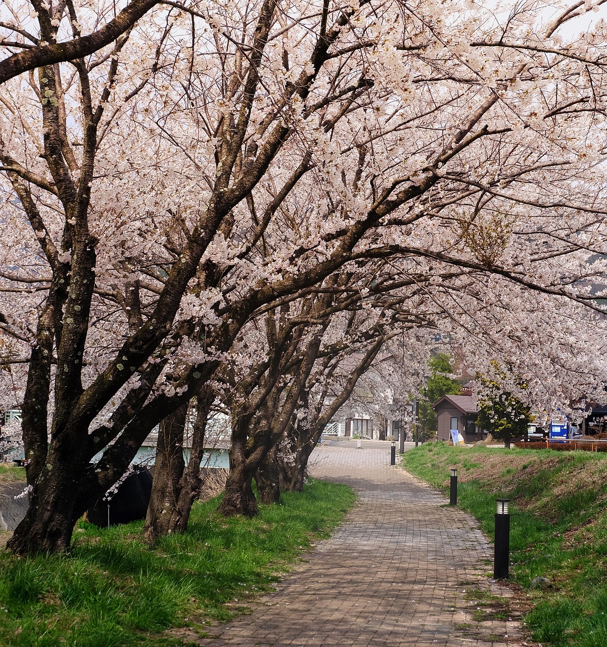 L&rsquo;essor des &eacute;nergies renouvelables : l&rsquo;importance cruciale de l&rsquo;engagement des consommateurs