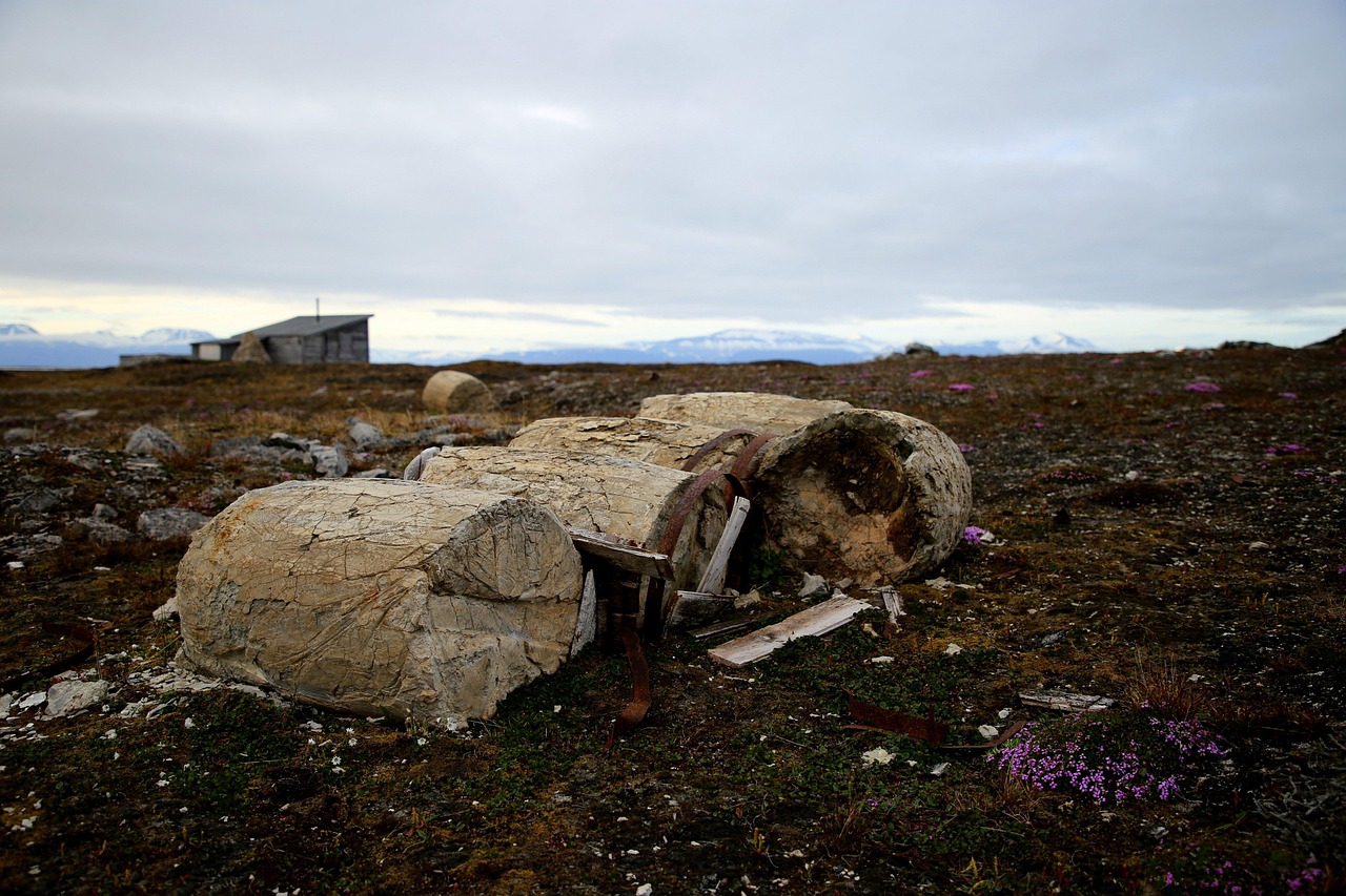 découvrez le permafrost, ce sol gelé en permanence qui recouvre une partie importante de la terre. apprenez comment il influence le climat, la biodiversité et les infrastructures dans les régions nordiques, tout en explorant les conséquences du réchauffement climatique sur cet écosystème unique.