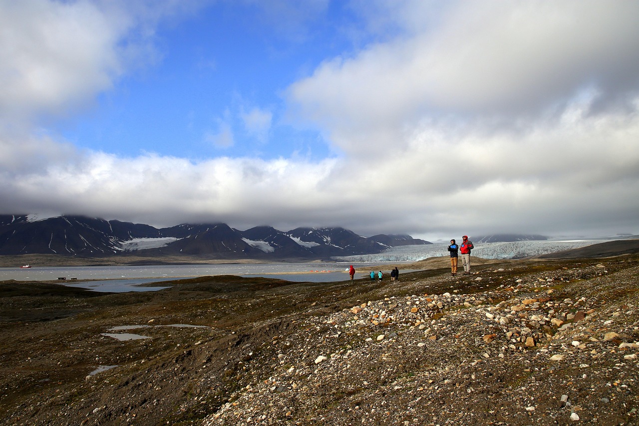 découvrez le permafrost, ce sol gelé permanent qui recouvre des millions de kilomètres carrés, son impact sur l'environnement, le climat et la biodiversité, ainsi que les enjeux liés à son dégel en raison du changement climatique.