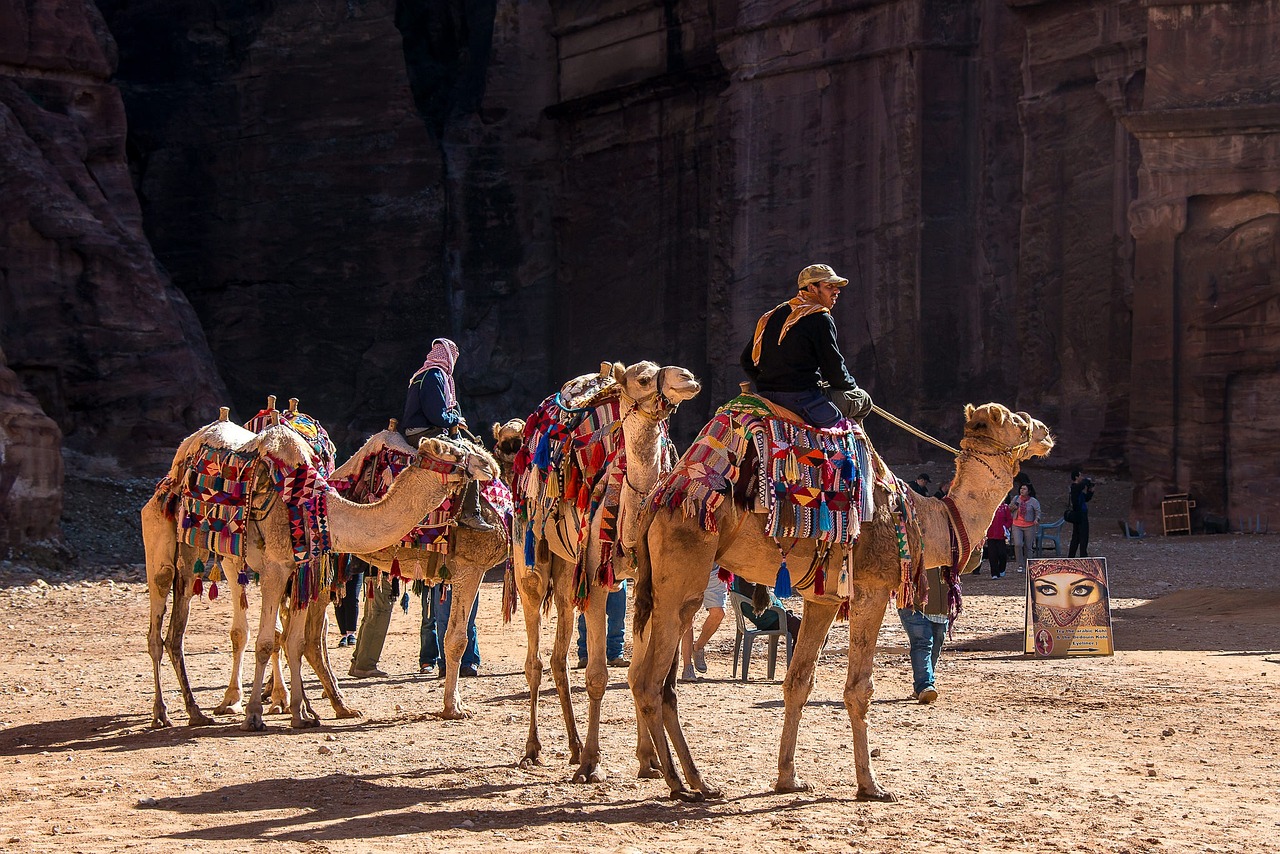 explorez le monde fascinant du tourisme : découvrez des destinations enchanteuses, des cultures variées et des expériences inoubliables qui éveilleront vos sens et enrichiront vos voyages. plongez dans l'aventure et laissez-vous inspirer par les merveilles de notre planète.