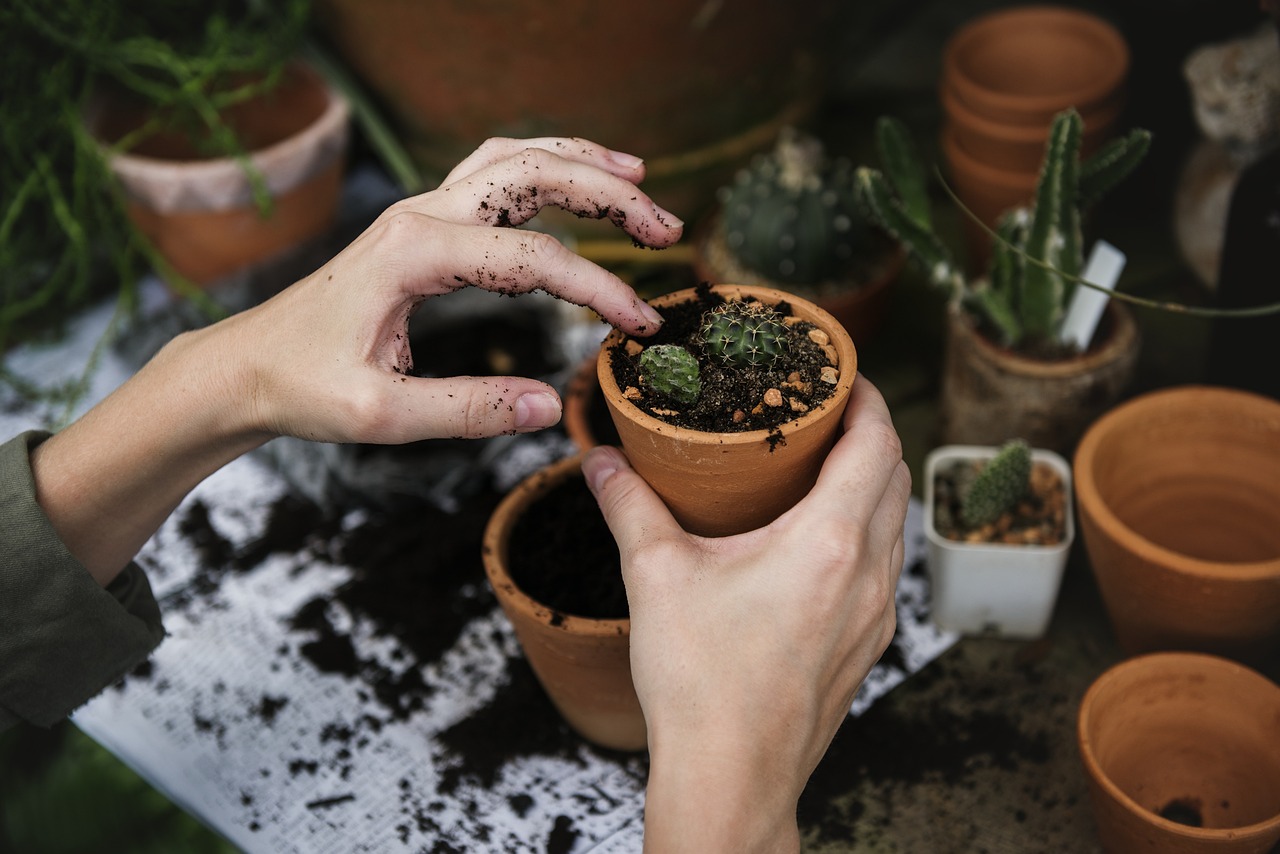 découvrez l'art du jardinage avec nos conseils pratiques, astuces et inspirations pour créer un jardin luxuriant et respectueux de l'environnement. que vous soyez novice ou expert, trouvez des ressources pour cultiver vos plantes et embellir votre espace extérieur.