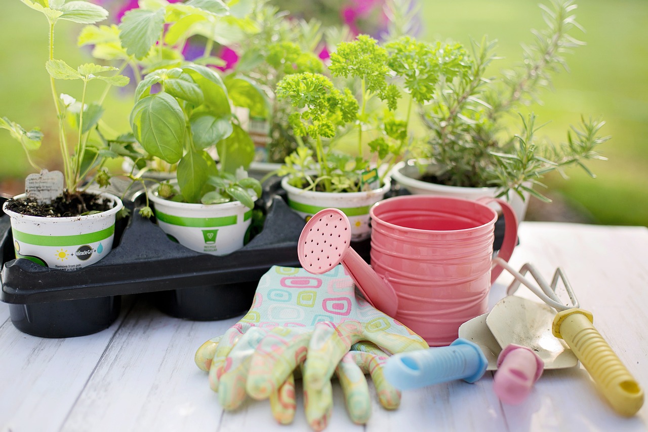 découvrez l'art du jardinage : astuces, conseils et techniques pour cultiver un jardin florissant. que vous soyez débutant ou passionné, apprenez à sélectionner les meilleures plantes, entretenir votre espace vert et profiter des bienfaits du jardinage au quotidien.