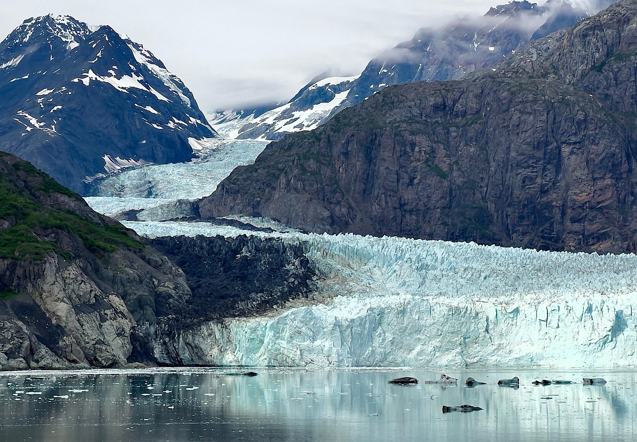 découvrez le comportement des glaciers : formation, mouvement et impact sur notre environnement. explorez les dynamiques glaciales et les enjeux climatiques liés à ces géants de la nature.