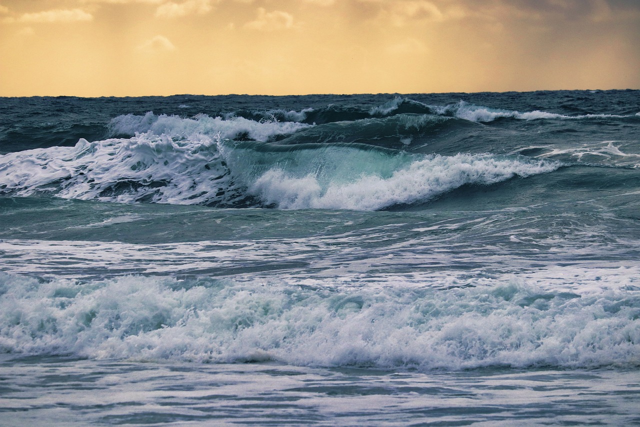 découvrez les merveilles des océans, des écosystèmes vibrants et diversifiés qui abritent une multitude de formes de vie. explorez la beauté des profondeurs marines, des récifs coralliens aux grandes abysses, et apprenez l'importance de la préservation de ces trésors naturels pour l'avenir de notre planète.