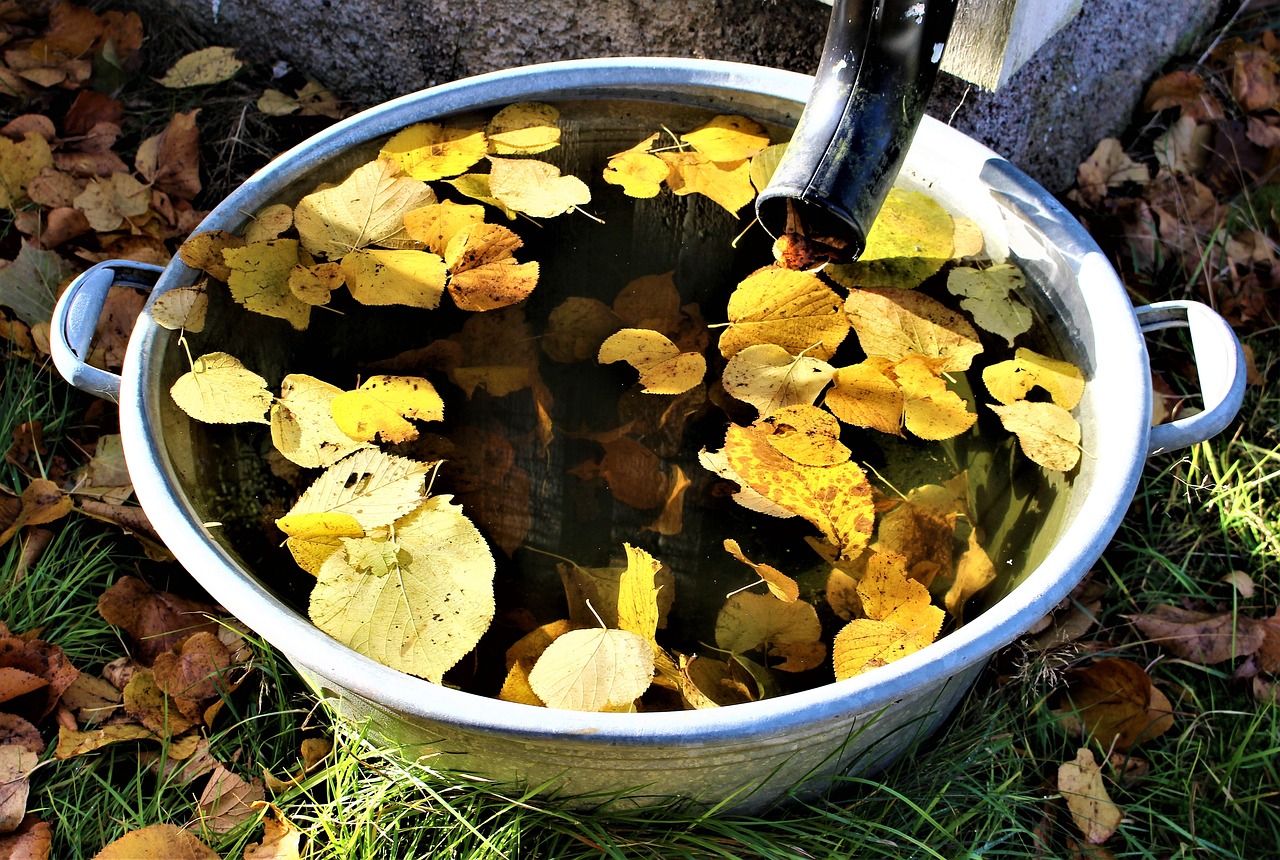 découvrez l'importance de la collecte des eaux de pluie, une pratique durable qui permet de conserver l'eau, réduire les factures et protéger l'environnement. apprenez les techniques et les avantages d'un système de récupération efficace.