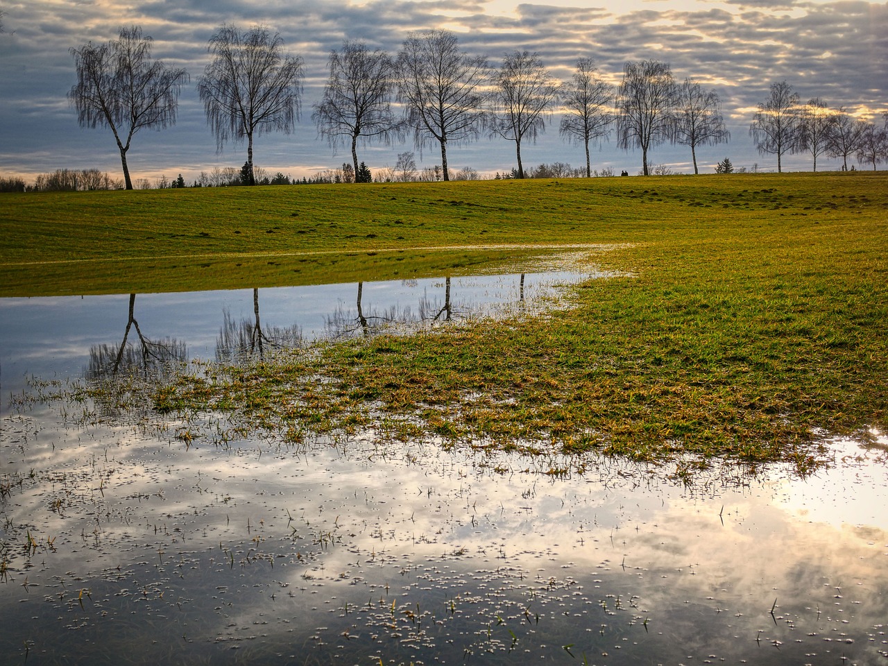 découvrez l'art de la collecte des eaux pluviales, une solution écologique et économique pour conserver l'eau, réduire votre emprunte carbone et nourrir votre jardin de manière durable.