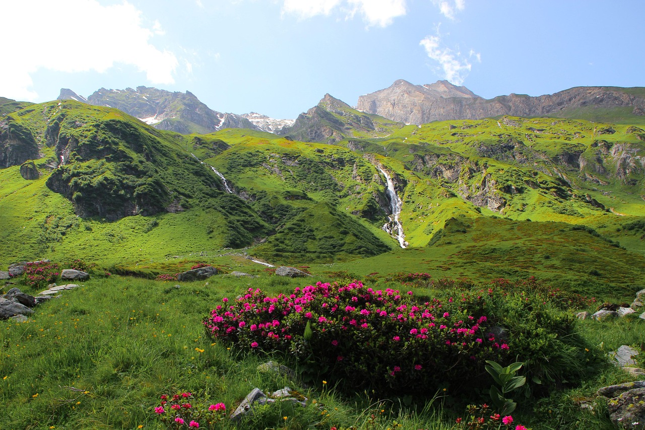 découvrez les magnifiques alpes, une chaîne de montagnes emblématique, synonyme de paysages à couper le souffle, de sports d'hiver exaltants et de charmants villages pittoresques. explorez la nature, la culture et l'aventure dans cette destination incontournable.