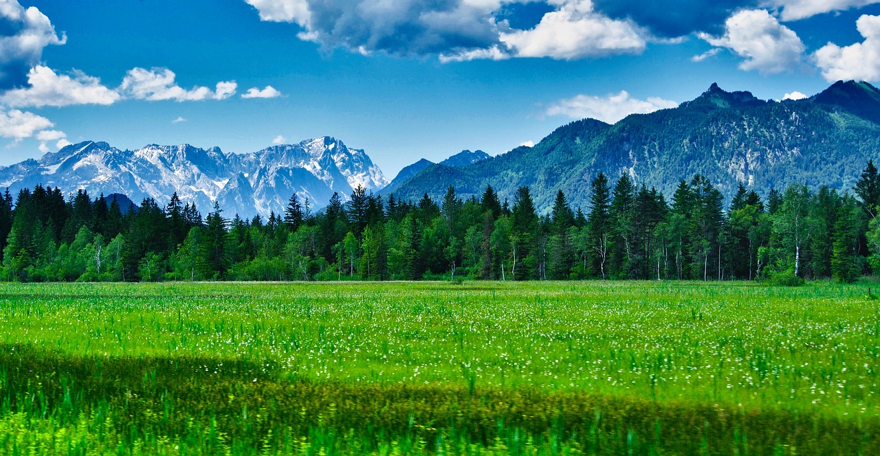 découvrez les majestueuses alpes, destination incontournable pour les amoureux de la nature et des sports de montagne. profitez de paysages à couper le souffle, de stations de ski réputées, et d'activités variées tout au long de l'année.