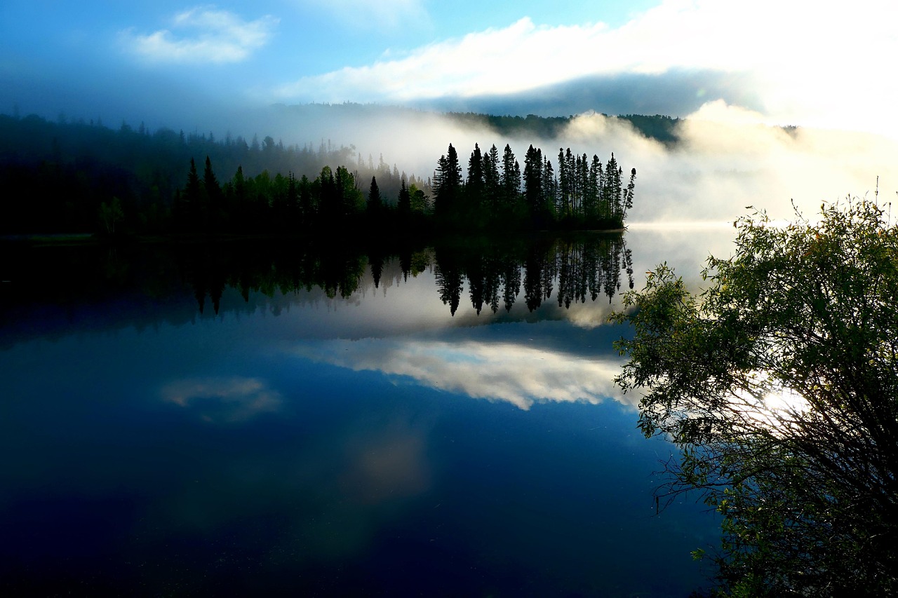 découvrez l'incroyable diversité des écosystèmes sur notre planète, des forêts luxuriantes aux océans profonds. apprenez comment ces systèmes interconnectés soutiennent la vie, influencent le climat et sont menacés par l'activité humaine. explorez des solutions pour préserver notre environnement et garantir un avenir durable.