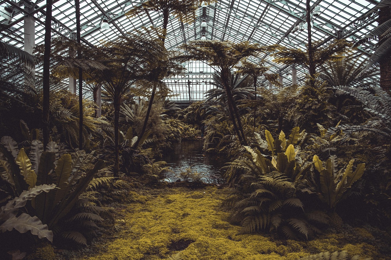 découvrez l'importance des écosystèmes pour notre planète. apprenez comment ils interagissent, soutiennent la biodiversité et sont essentiels à la vie humaine. plongez dans l'étude des relations complexes entre les organismes et leur environnement.