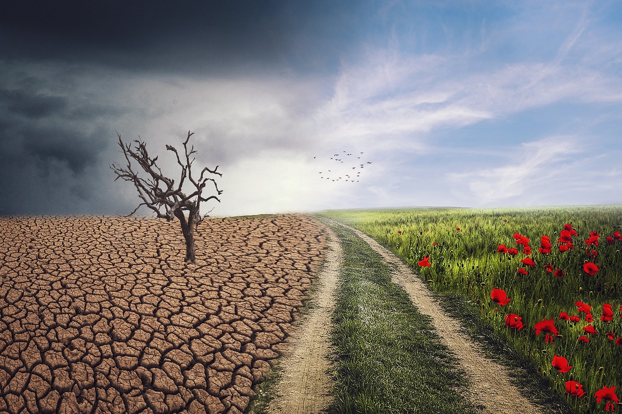 Changement climatique : comment il impacte la vie des enfants et leur avenir