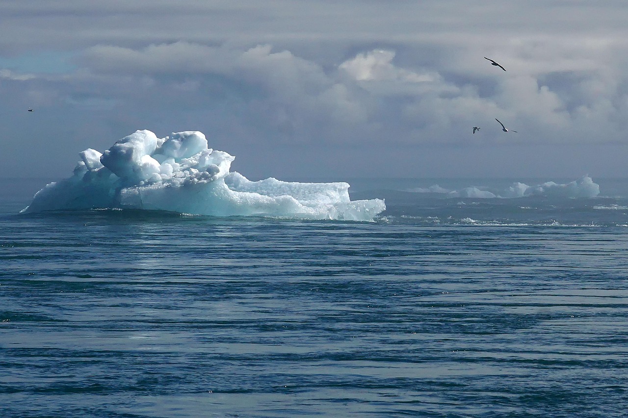 Climat : Comprendre l’impact de nos actions sur la planète