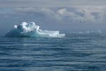 découvrez l'impact du changement climatique sur notre planète, ses conséquences sur l'environnement et les solutions pour un avenir durable. explorez des actions individuelles et collectives pour lutter contre ce défi mondial.