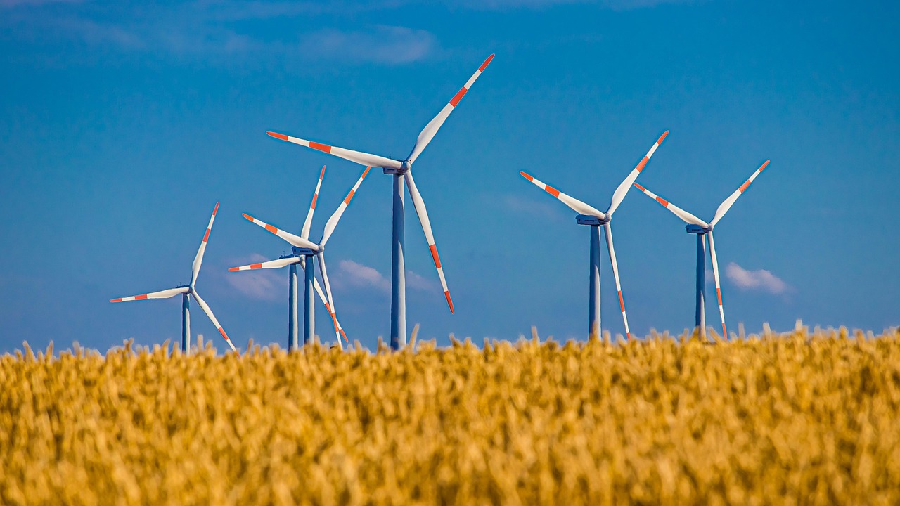 Systèmes agricoles durables : vers une agriculture respectueuse de l’environnement