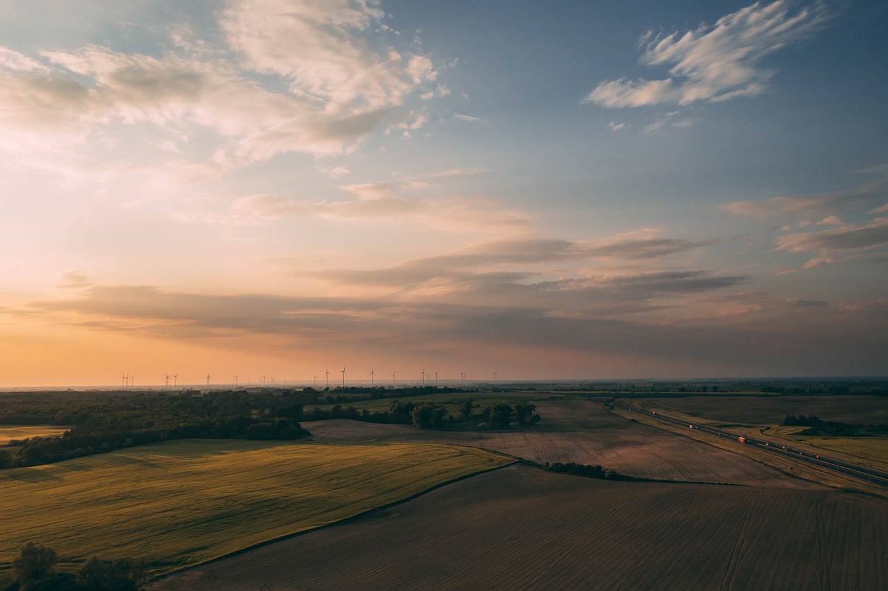 découvrez comment la durabilité façonne notre avenir à travers des pratiques écoresponsables, des innovations vertes et des modes de vie respectueux de l'environnement. engagez-vous pour un monde plus durable grâce à des solutions pratiques et inspirantes.
