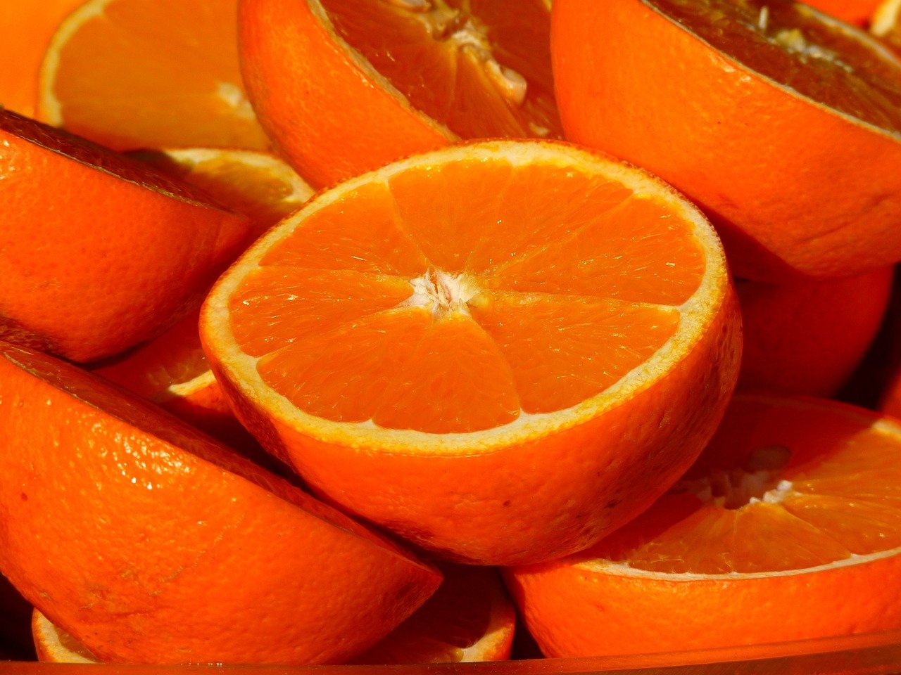 découvrez les meilleures pratiques de l'agriculture des agrumes, des variétés cultivées aux techniques de culture durables, pour maximiser la qualité et le rendement de vos récoltes. apprenez tout sur les soins des plantations, la gestion des maladies et l'impact environnemental.