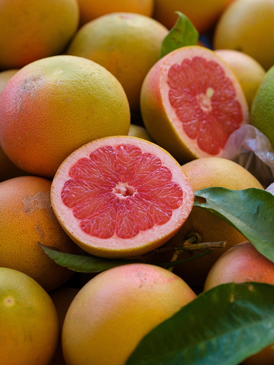 découvrez les meilleures pratiques et techniques pour une agriculture de citrus prospère. apprenez à cultiver, entretenir et récolter des agrumes tout en maximisant la qualité et le rendement de votre production. explorez les dernières innovations et conseils d'experts dans le domaine.
