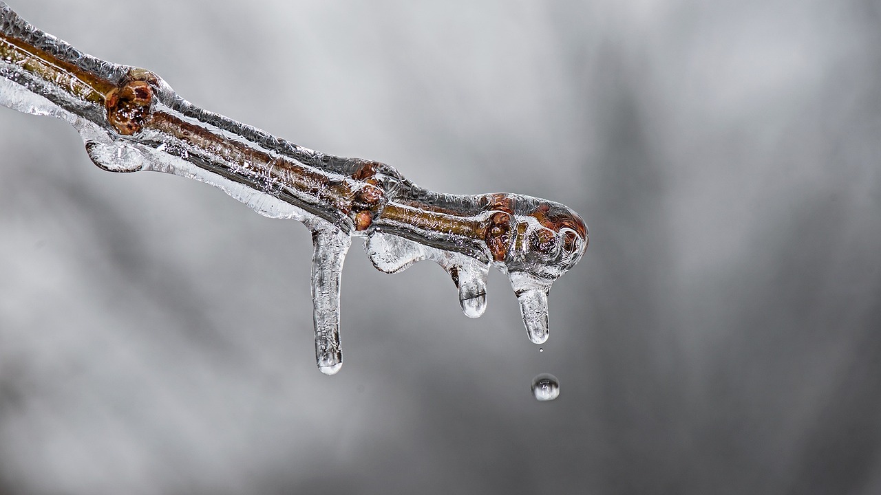 découvrez les défis climatiques majeurs auxquels notre planète est confrontée, des impacts du changement climatique aux solutions possibles pour un avenir durable. explorez les enjeux environnementaux et les actions nécessaires pour protéger notre écosystème.