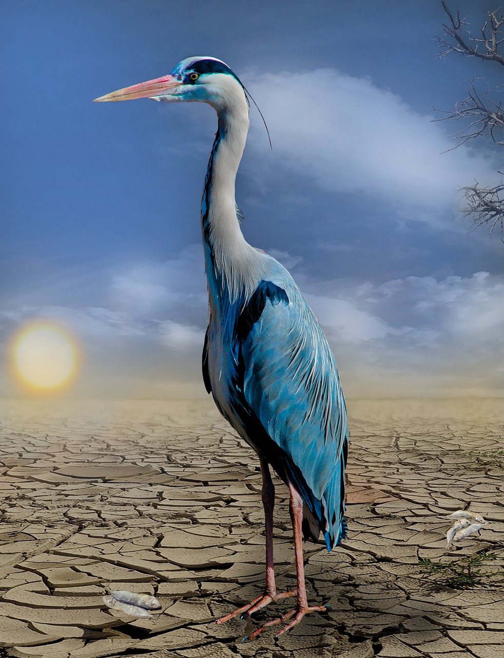 découvrez comment le changement climatique impacte notre planète et nos vies. informez-vous sur les causes, les conséquences et les solutions pour lutter contre ce défi mondial.
