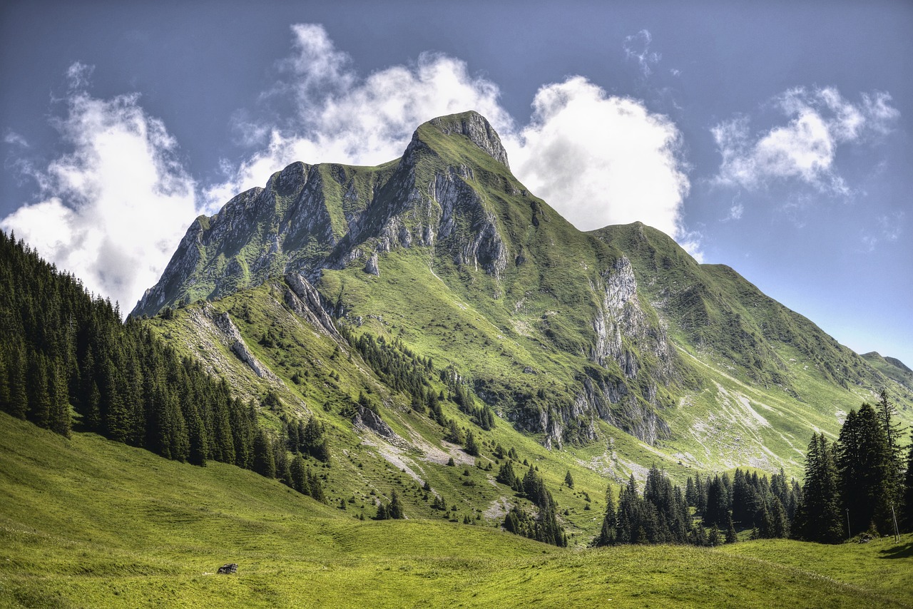 découvrez comment atteindre des objectifs climatiques ambitieux pour un avenir durable. explorez des stratégies efficaces, des initiatives écologiques et des solutions innovantes pour réduire l'empreinte carbone et protéger notre planète.