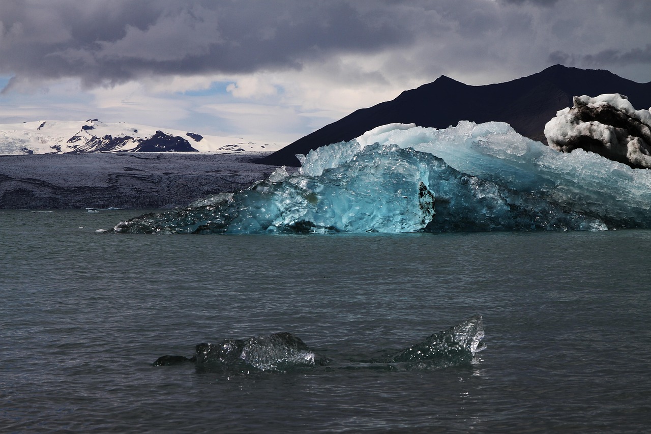 découvrez l'univers fascinant des glaciers, ces géants de glace sculptant nos paysages. apprenez-en plus sur leur formation, leur rôle crucial dans l'écologie, et les enjeux liés au changement climatique.