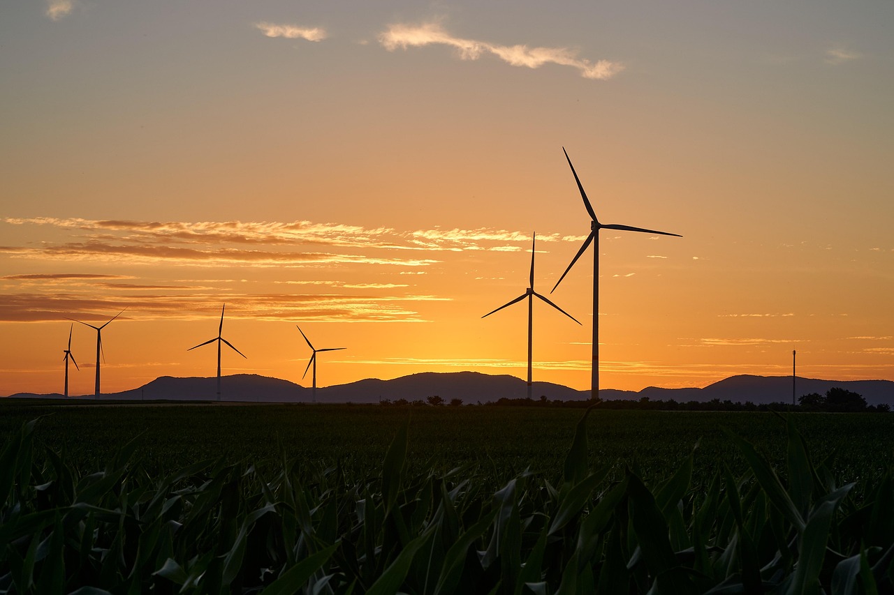 découvrez l'univers de l'énergie renouvelable, une alternative durable pour un avenir meilleur. explorez les différentes sources, technologies et innovations qui permettent de produire de l'énergie propre et de réduire notre empreinte carbone.