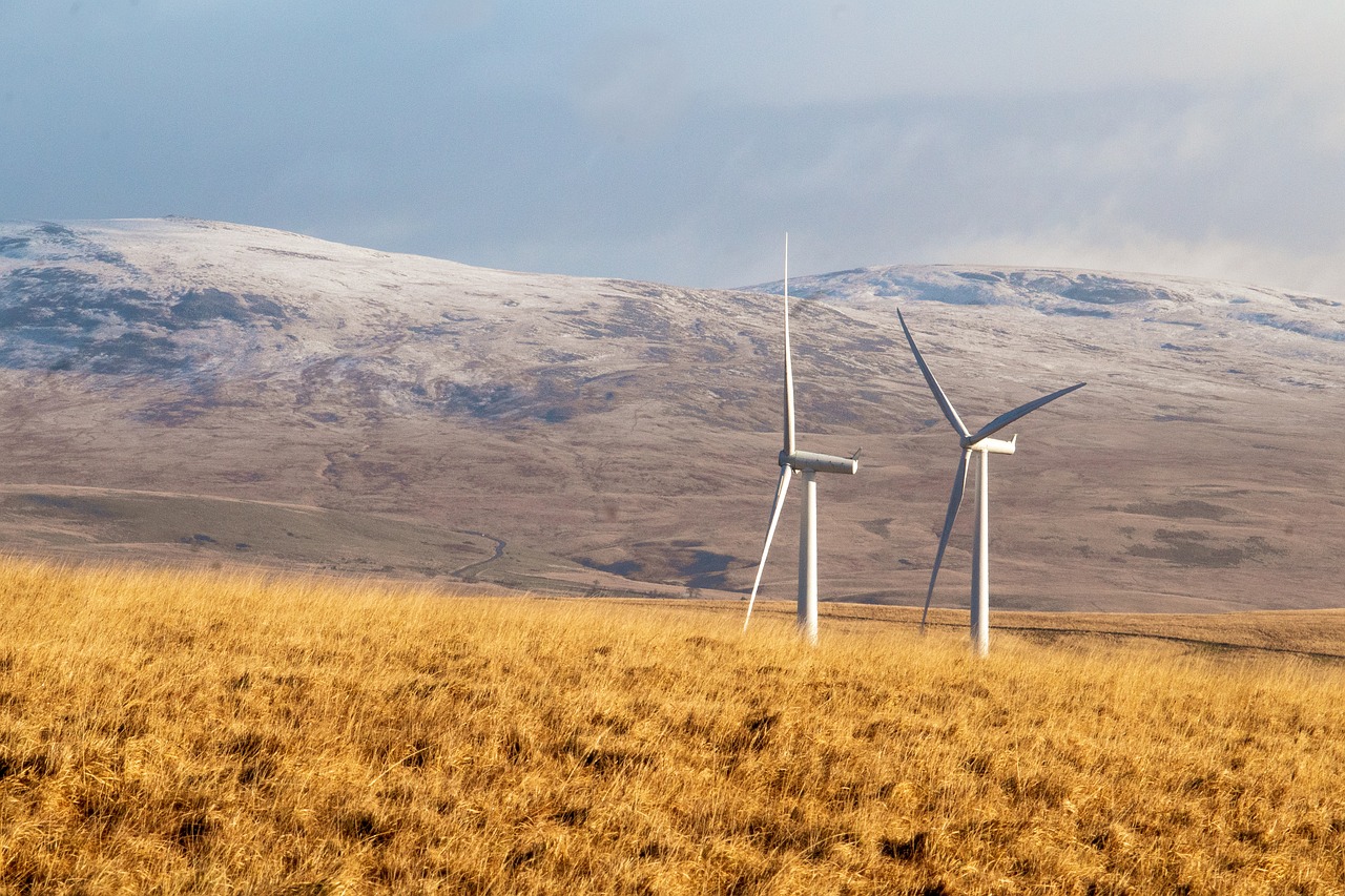 découvrez les sources d'énergie renouvelable, leurs avantages pour l'environnement et leur rôle essentiel dans la transition vers un avenir durable. apprenez comment l'énergie solaire, éolienne, hydraulique et géothermique peuvent transformer notre société.