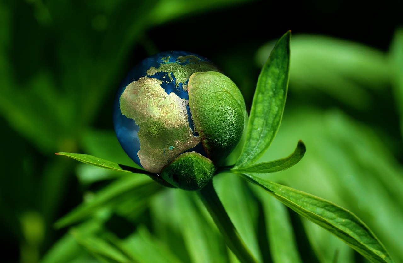 découvrez l'importance de la durabilité dans notre société contemporaine. apprenez comment adopter des pratiques responsables pour préserver l'environnement, favoriser l'économie circulaire et garantir un avenir meilleur pour les générations futures.