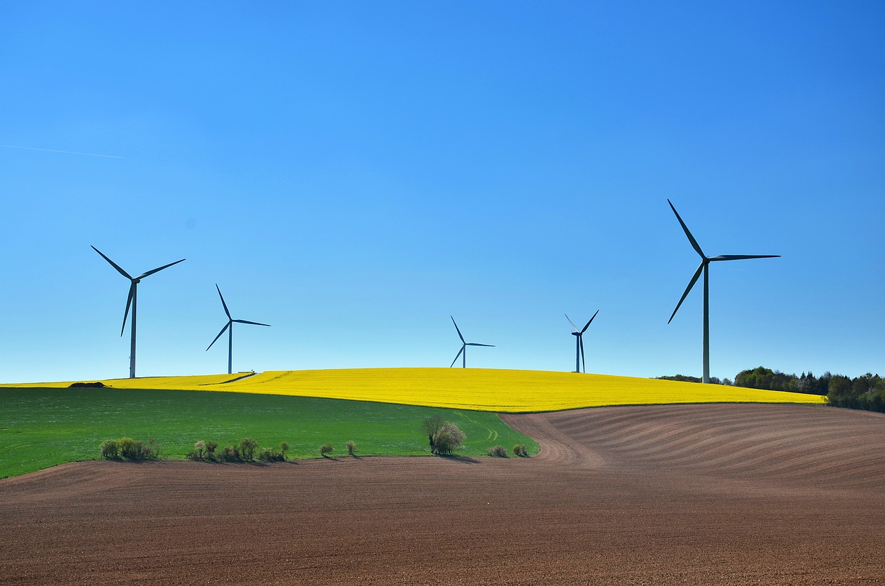 découvrez les pratiques d'agriculture durable qui préservent l'environnement, améliorent la qualité des sols et favorisent la biodiversité. apprenez comment ces méthodes innovantes contribuent à une production alimentaire responsable et à la protection des ressources naturelles pour les générations futures.