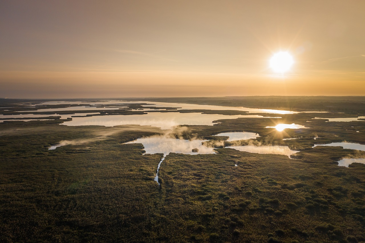 découvrez les zones humides : écosystèmes essentiels pour la biodiversité, la régulation des eaux et la lutte contre le changement climatique. apprenez leur importance et comment les préserver pour un avenir durable.