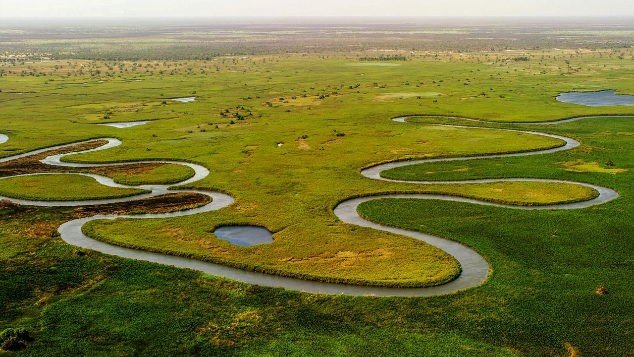 découvrez les zones humides, des écosystèmes essentiels pour la biodiversité, la régulation de l'eau et la lutte contre le changement climatique. explorez leur importance et leur protection.