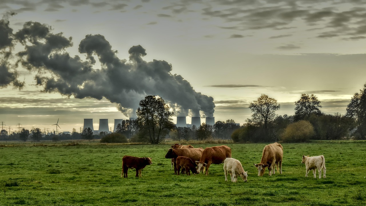 Des citoyens portent plainte contre l’État français pour son inaction face au changement climatique