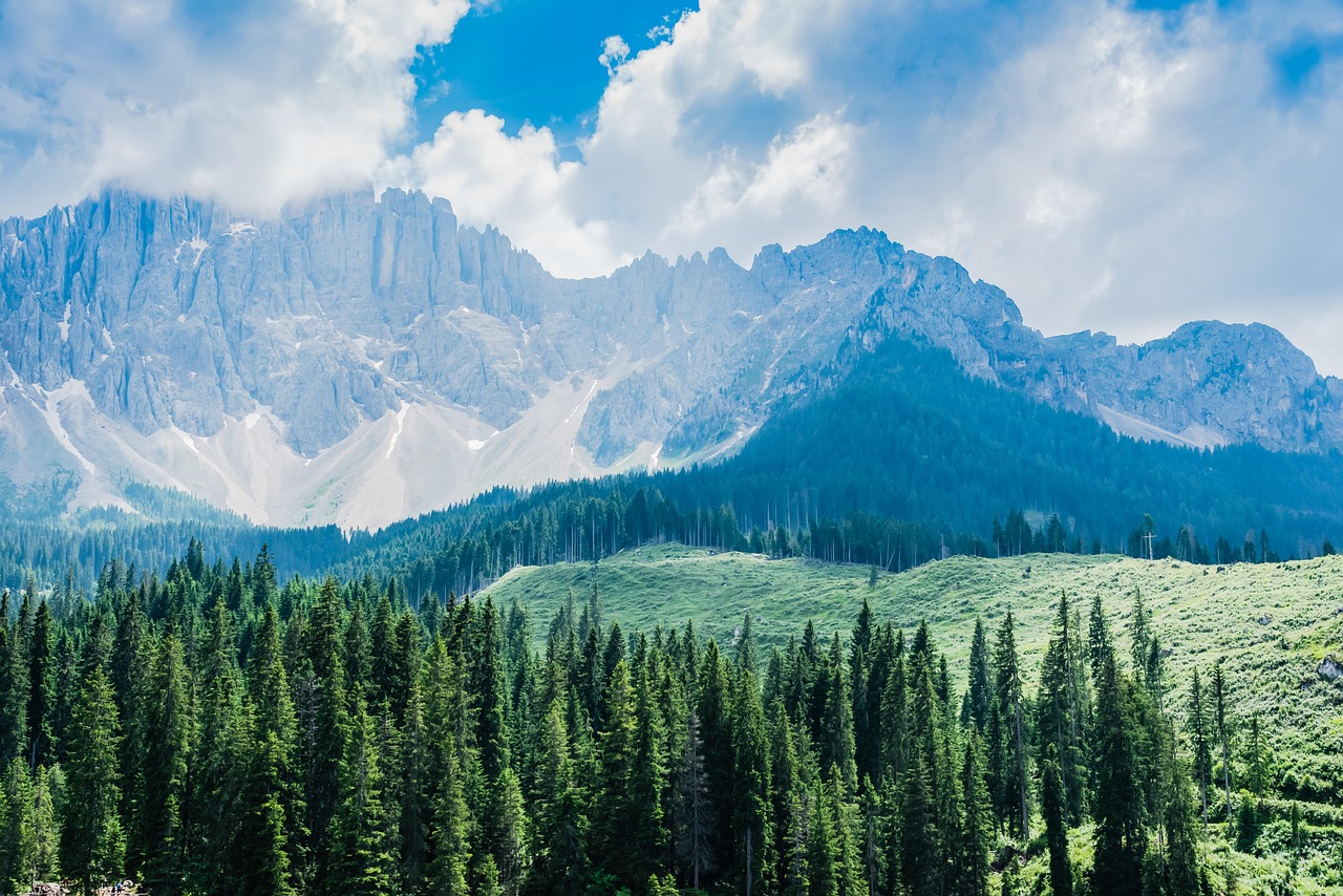 découvrez l'écotourisme : une manière de voyager durablement tout en préservant la nature et en soutenant les communautés locales. explorez des destinations écoresponsables, participez à des activités respectueuses de l'environnement et vivez des expériences authentiques qui allient aventure et conservation.
